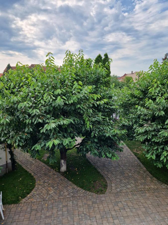 Hotel Atlantic Boutique Târgu-Mureş Exteriér fotografie