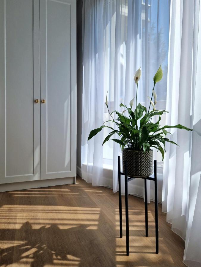 Hotel Atlantic Boutique Târgu-Mureş Exteriér fotografie