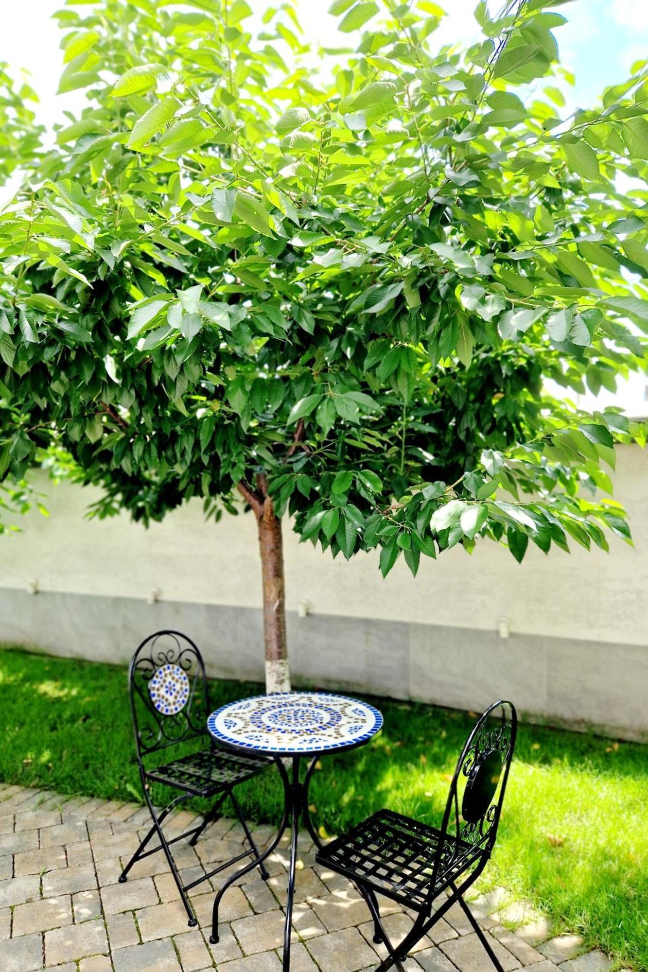 Hotel Atlantic Boutique Târgu-Mureş Exteriér fotografie
